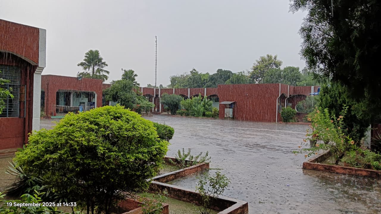 Campus View